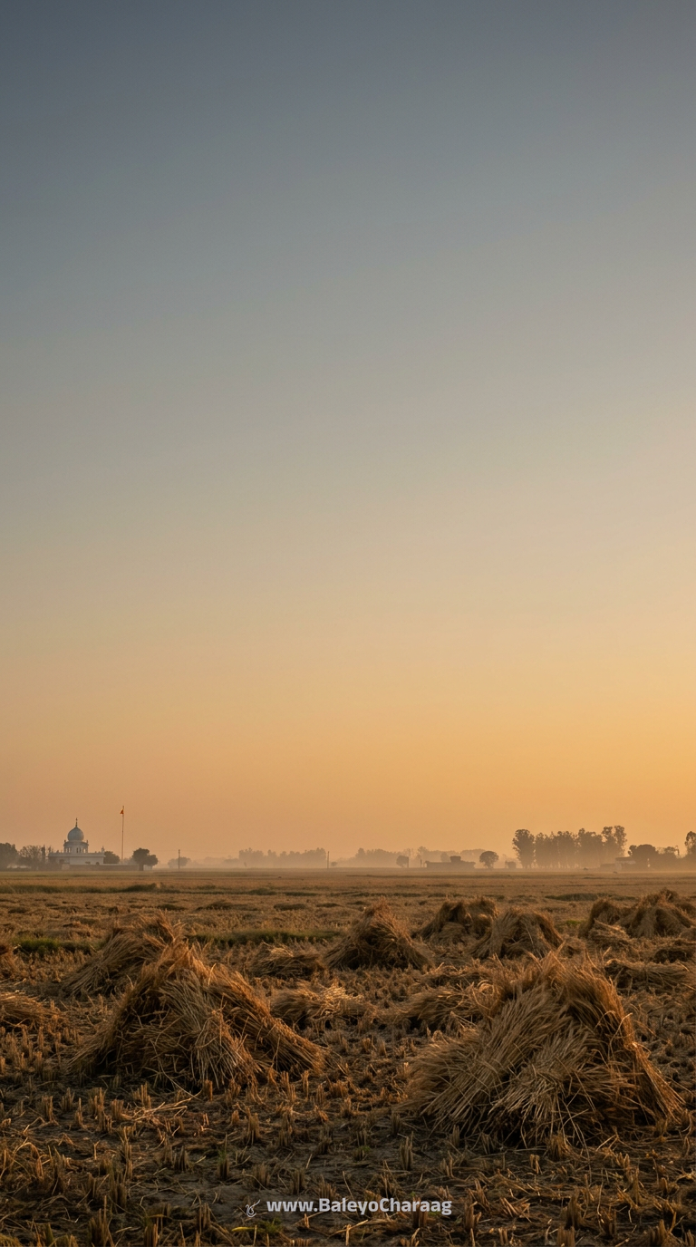 Kattak Harvest Dusk Haze · Phone wallpaper