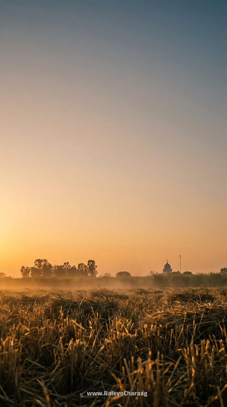 Kattak Harvest Dust Haze · Phone wallpaper