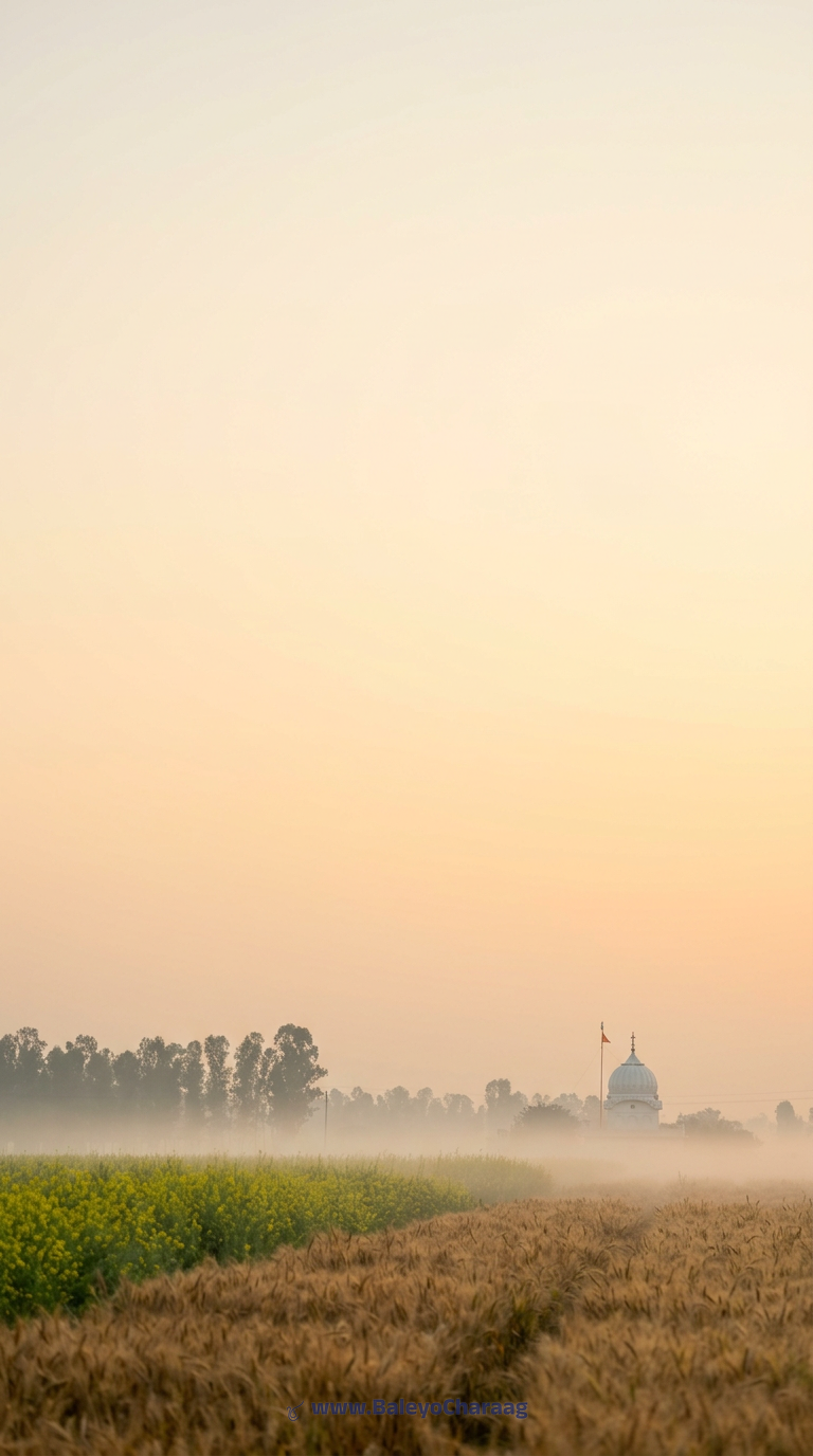 Kattak Harvest Morning Mist · Phone wallpaper