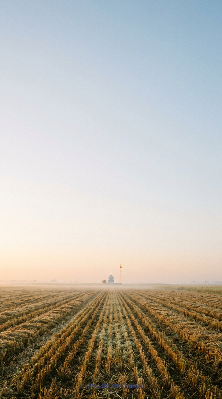 Kattak Wheat Stubble Dawn · Phone wallpaper
