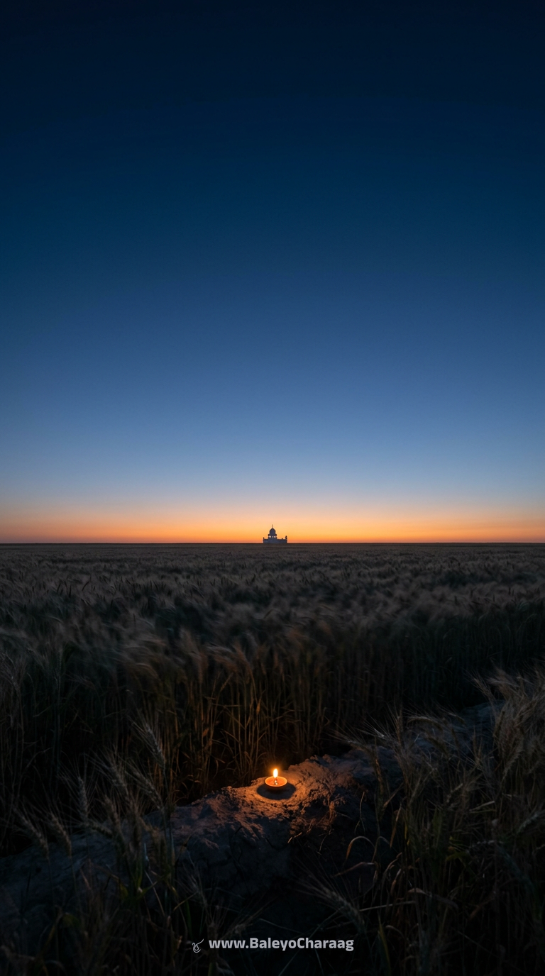 Lone Lamp, Wheat Ocean · Phone wallpaper