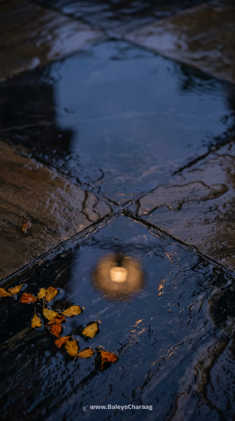 Wet Stone After Rain · Phone wallpaper